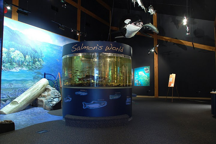 Quatse Salmon Stewardship Centre景点图片