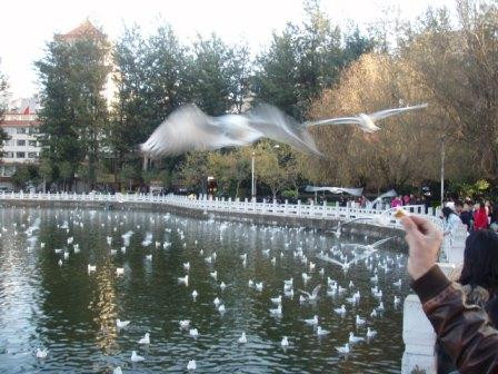 昆明君樂酒店主图