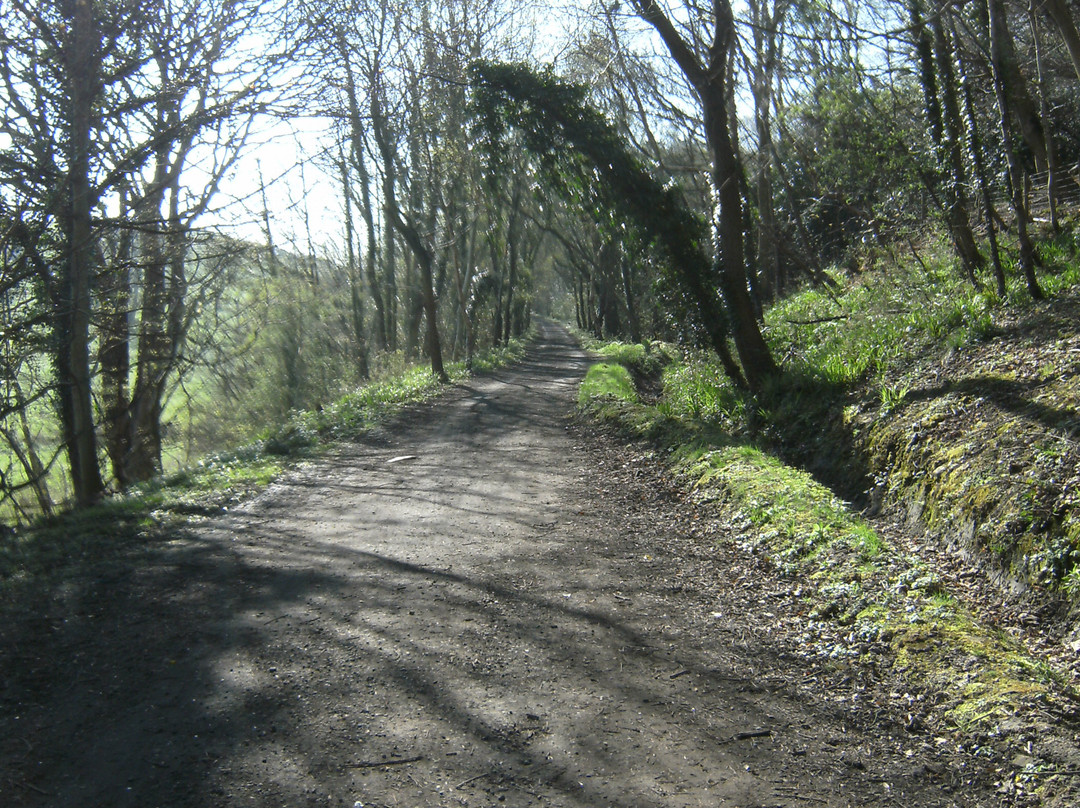 Scarborough to Whitby Rail Trail-斯卡伯勒必去景点