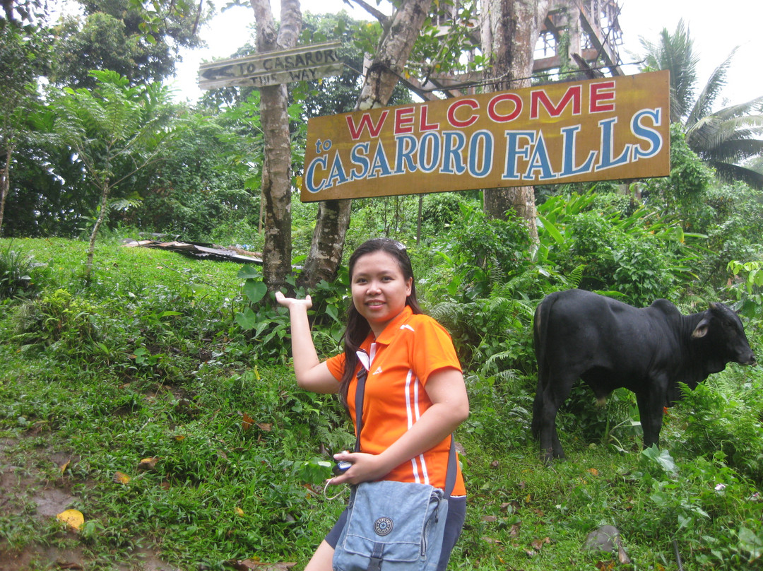 卡萨洛萝瀑布-巴伦西亚必去景点