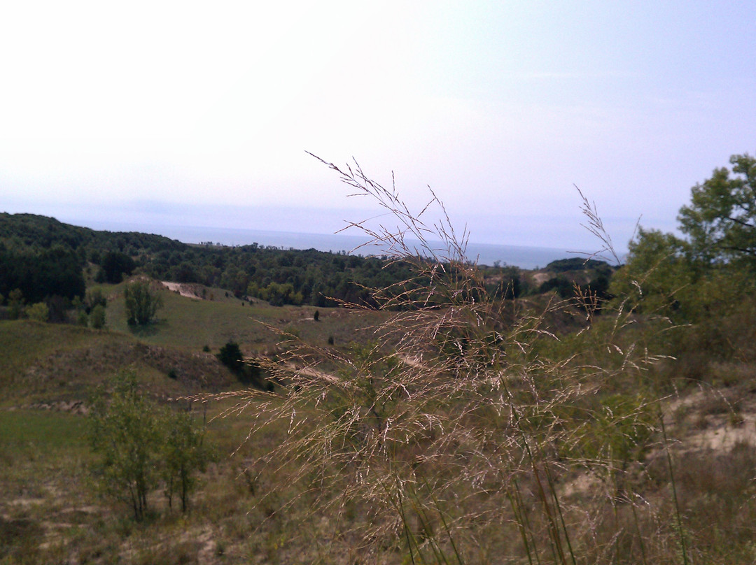 Saugatuck Dune Rides-索格塔克必去景点