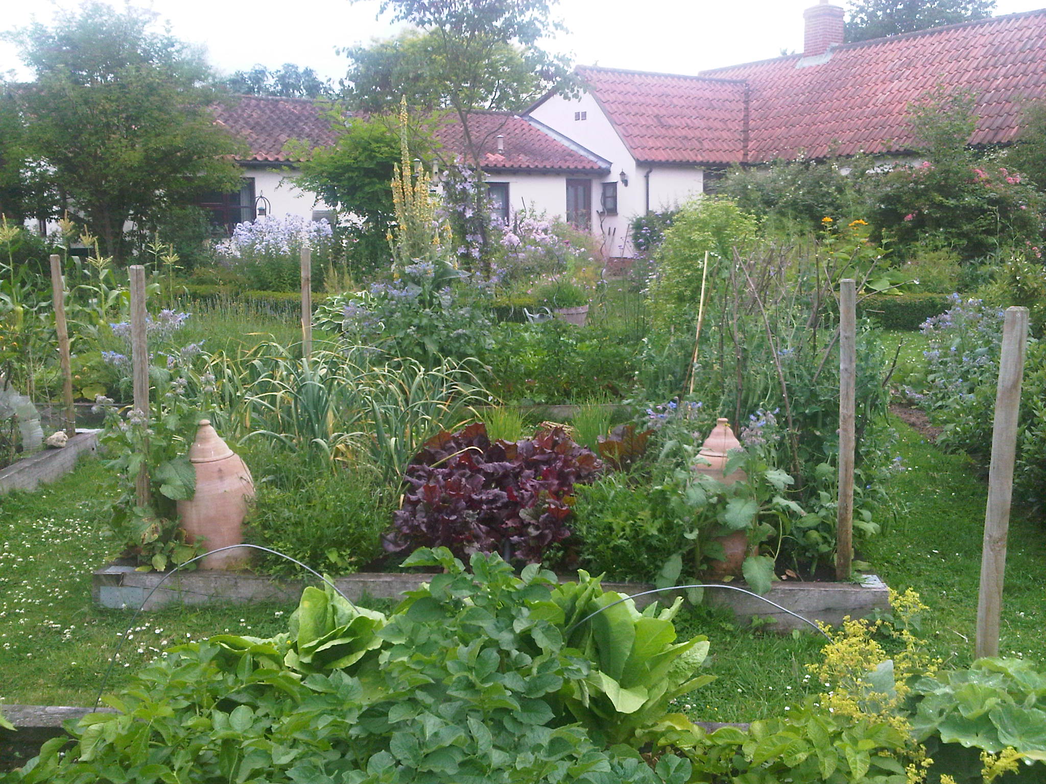The Wallow Bed and Breakfast-客卧