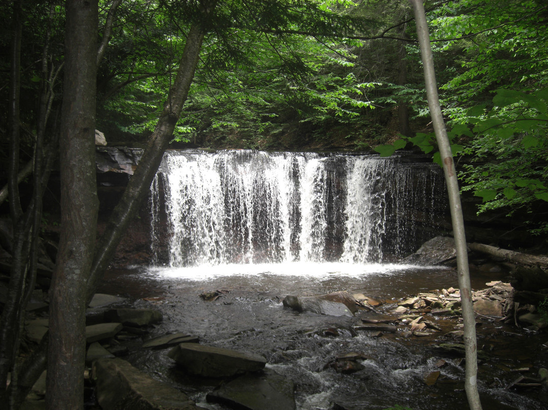 Ricketts Glen State Park Campground