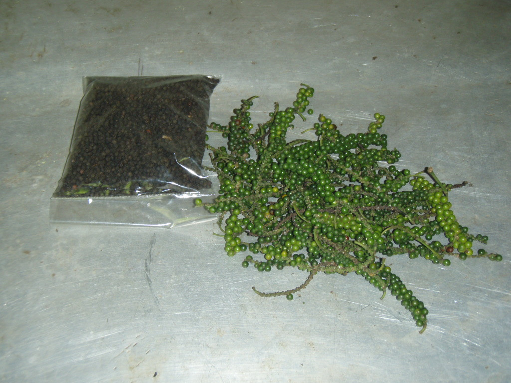 Ranweli Spice Garden-Matale必去景点