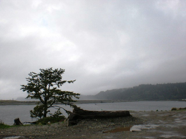 La Push Beach景点图片