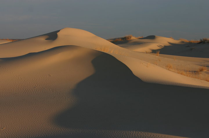 Monahans Sandhills State Park-Monahans必去景点
