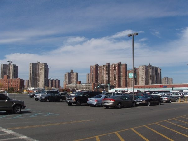 Bronx Museum of the Arts-布朗克斯必去景点