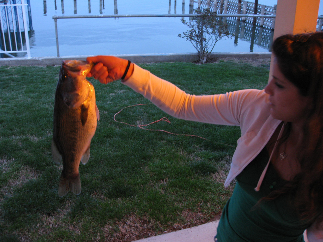 The Chalet Motel主图