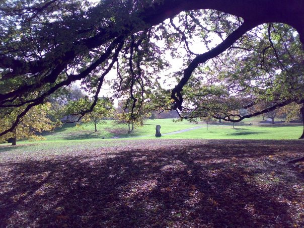 Singleton Park-斯温西必去景点
