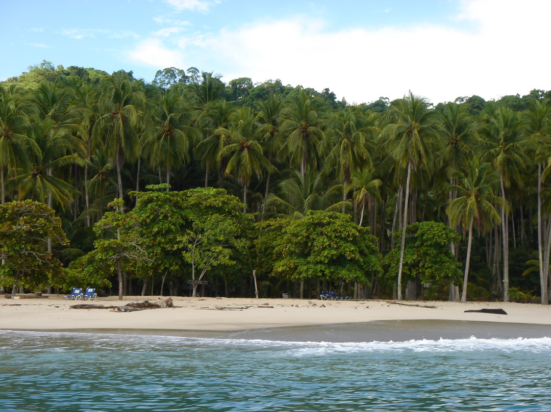 Tortuga Island景点图片