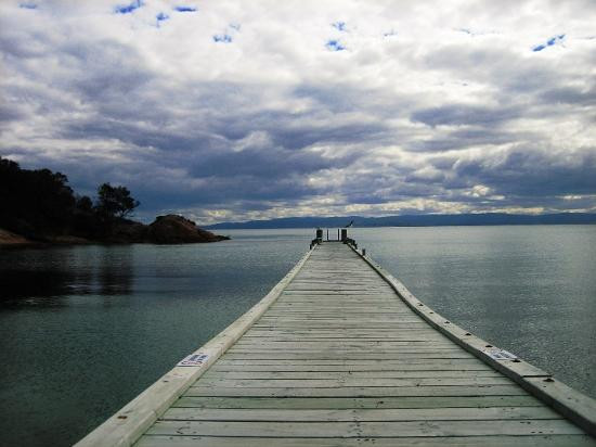 观菲欣纳海洋农场-科尔斯湾必去景点