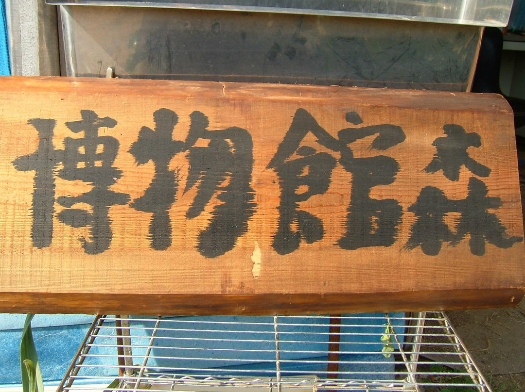 Museum Mori-森町必去景点