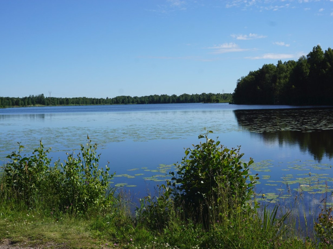 Eurajoki旅游景点-Lake Ayhonjarvi