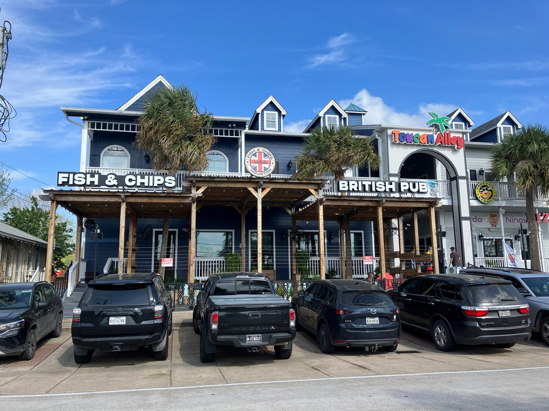 Fish And Chips Houston