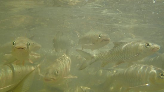Chiling Waterfall-Peretak必去景点