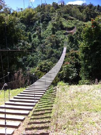 Toro Verde-Orocovis必去景点