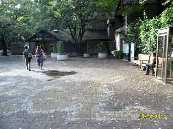 Inokashira Park Zoo-武藏野市必去景点