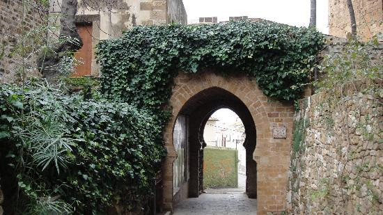 Denia Castle and Archaeological Museum景点图片