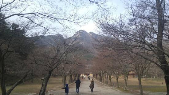 Byeonsanbando National Park-扶安郡必去景点