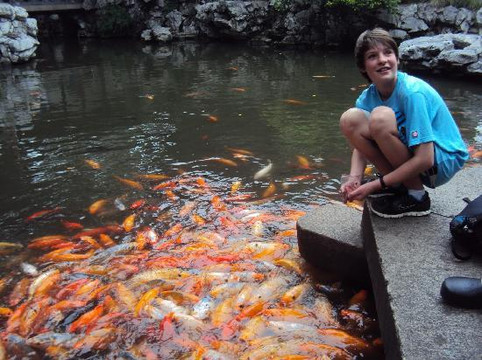 上海轨迹-上海市必去景点