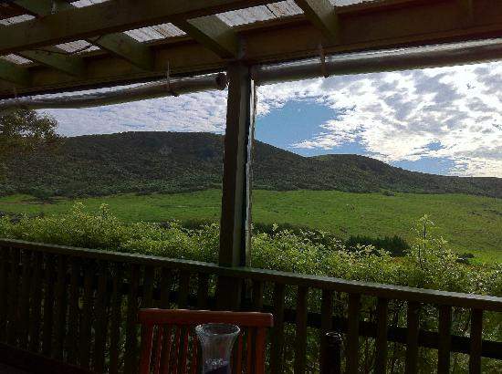 Auckland Fine Wine & Food Tours-奥克兰中心地区必去景点