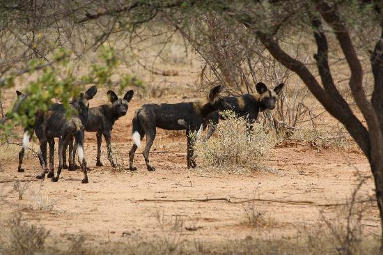 Meru Museum-Meru National Park必去景点