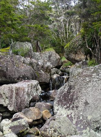 Wairere Boulders-Horeke必去景点