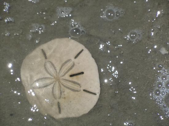 Island Hopper Boat Charters-福利比奇必去景点