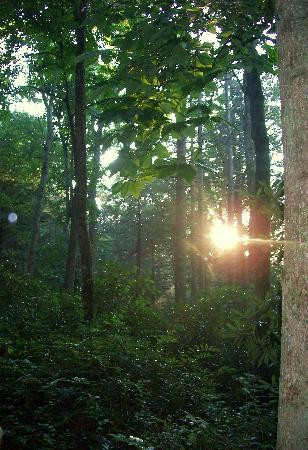 Grotto Falls Trail-大雾山国家公园必去景点
