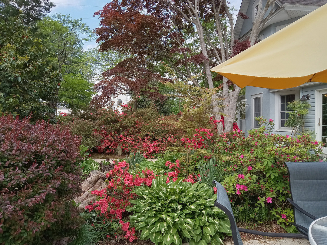 Back Creek Inn主图