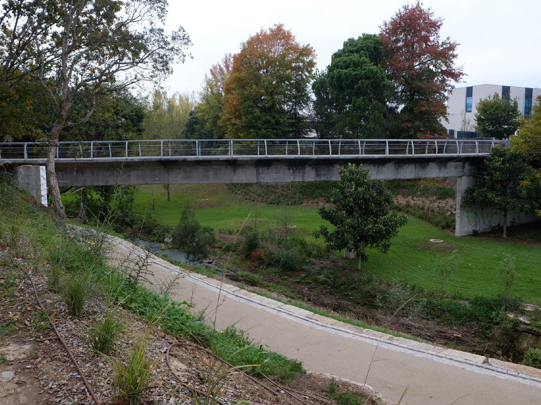Parque Urbano de Geao景点图片