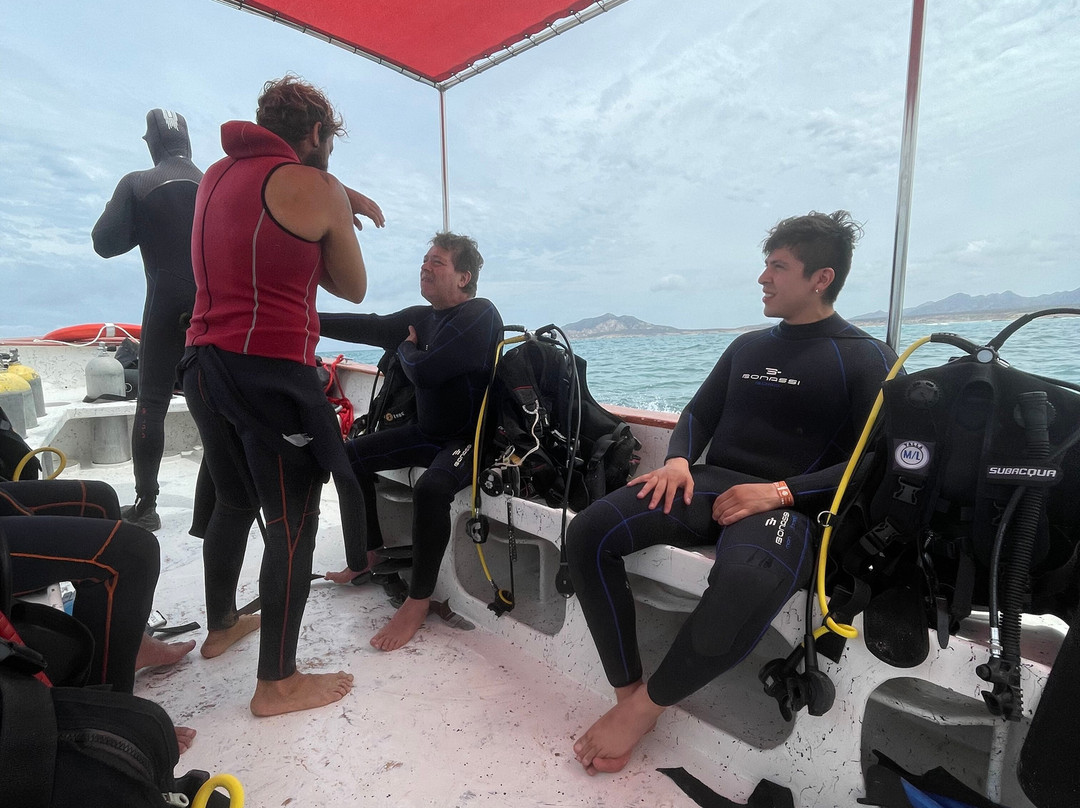 Dive Cabo Pulmo-Cabo Pulmo必去景点