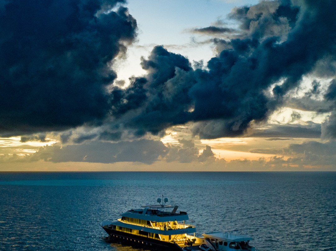 Azalea Cruise-马累必去景点