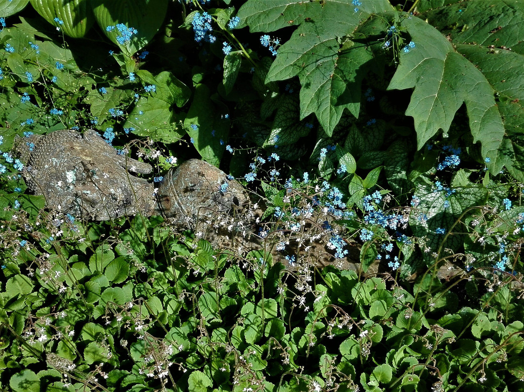 Nepal Himalaya Park Stiftung-Wiesent必去景点