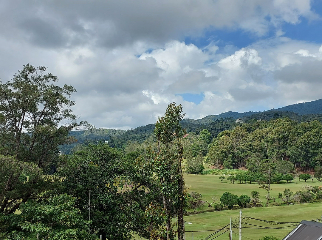 萨代拉罗莎酒店主图