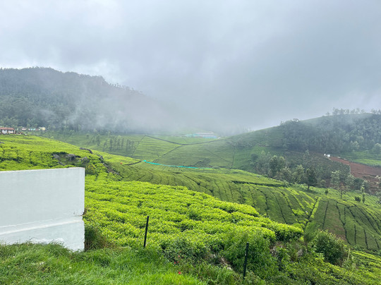 Lynfields Leisure主图