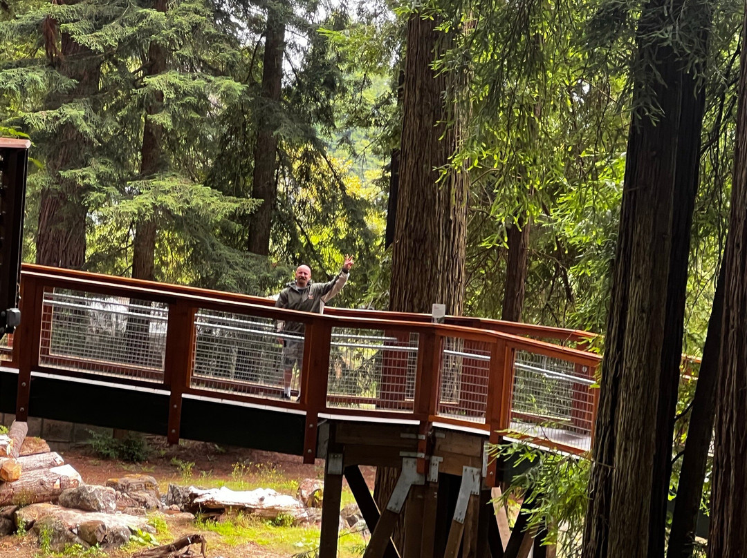 Sequoia Park景点图片