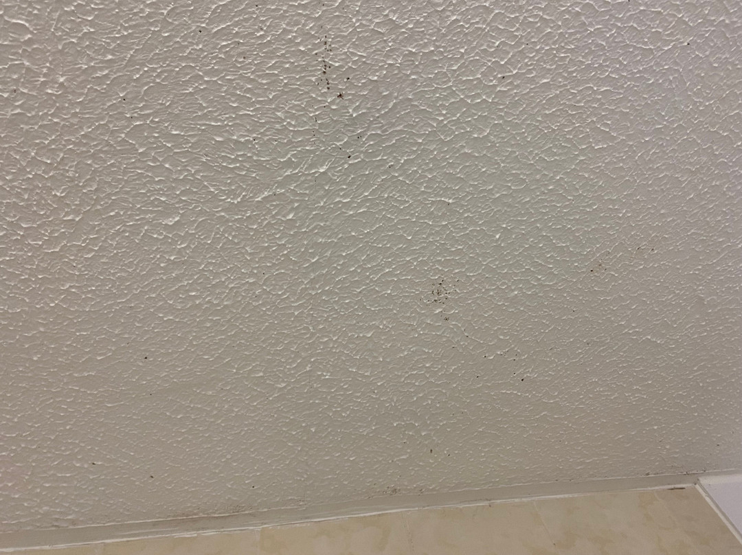 Travelodge Carlisle M6主图