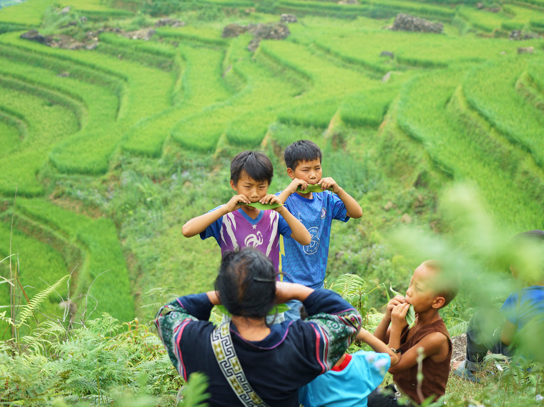 Cho Cho's Trekking & Home Stay主图