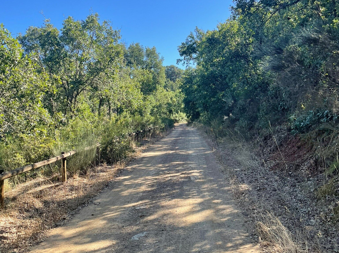 Parque Natural de Montesinho景点图片