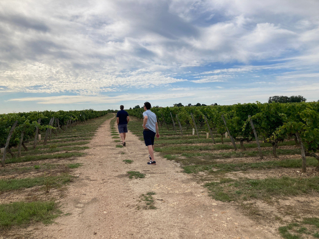 Bumblebee Tours - Loire Valley Wine Experience-梭缪尔必去景点