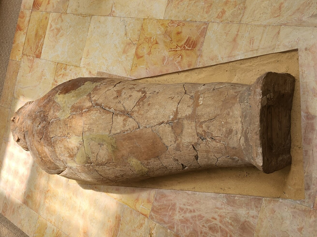 Hecht Museum, University of Haifa-Haifa必去景点