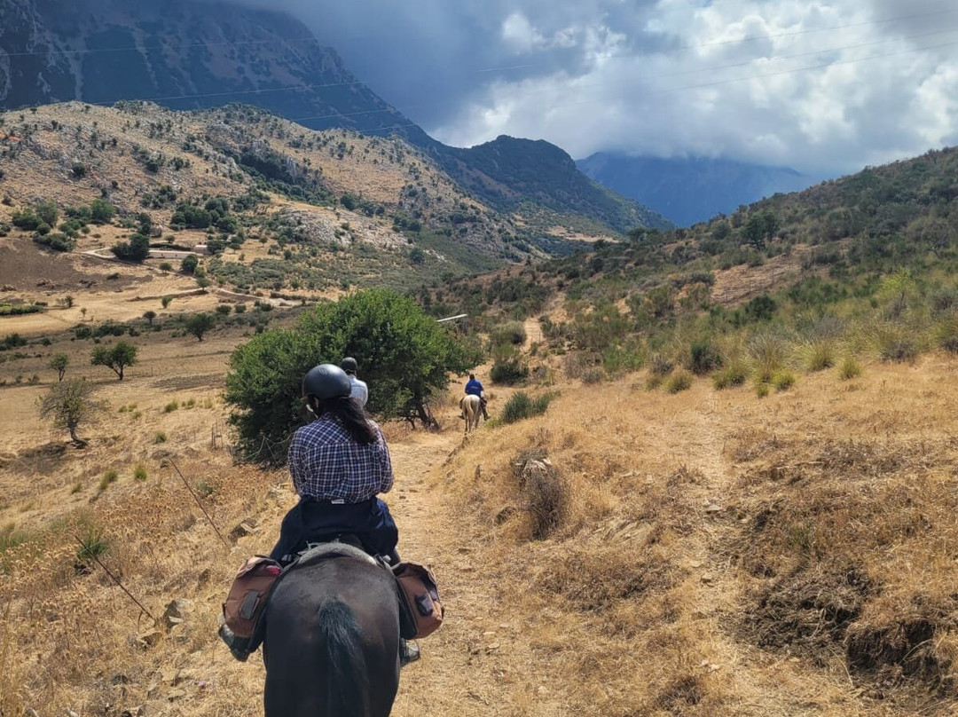 Sicily Horse Tours景点图片