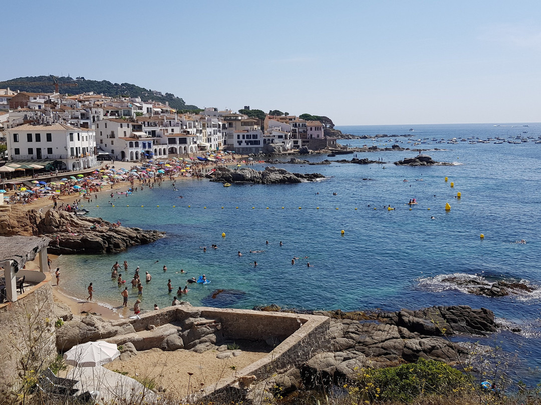 Platja Port Bo景点图片
