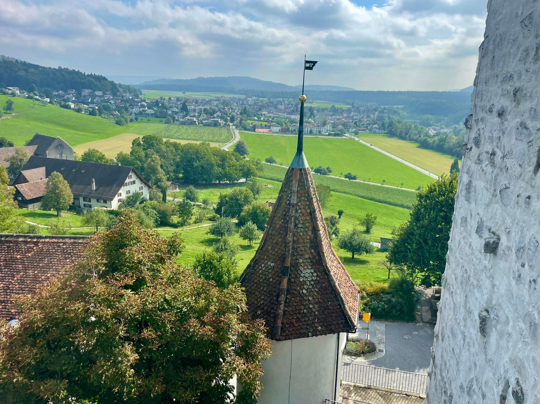 Schloss Wildegg-Wildegg必去景点
