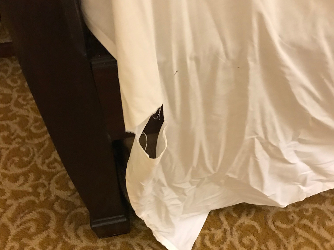 拉合尔五洲明珠大酒店主图