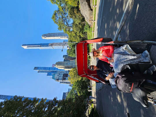 Central Park Joy ™-纽约市必去景点