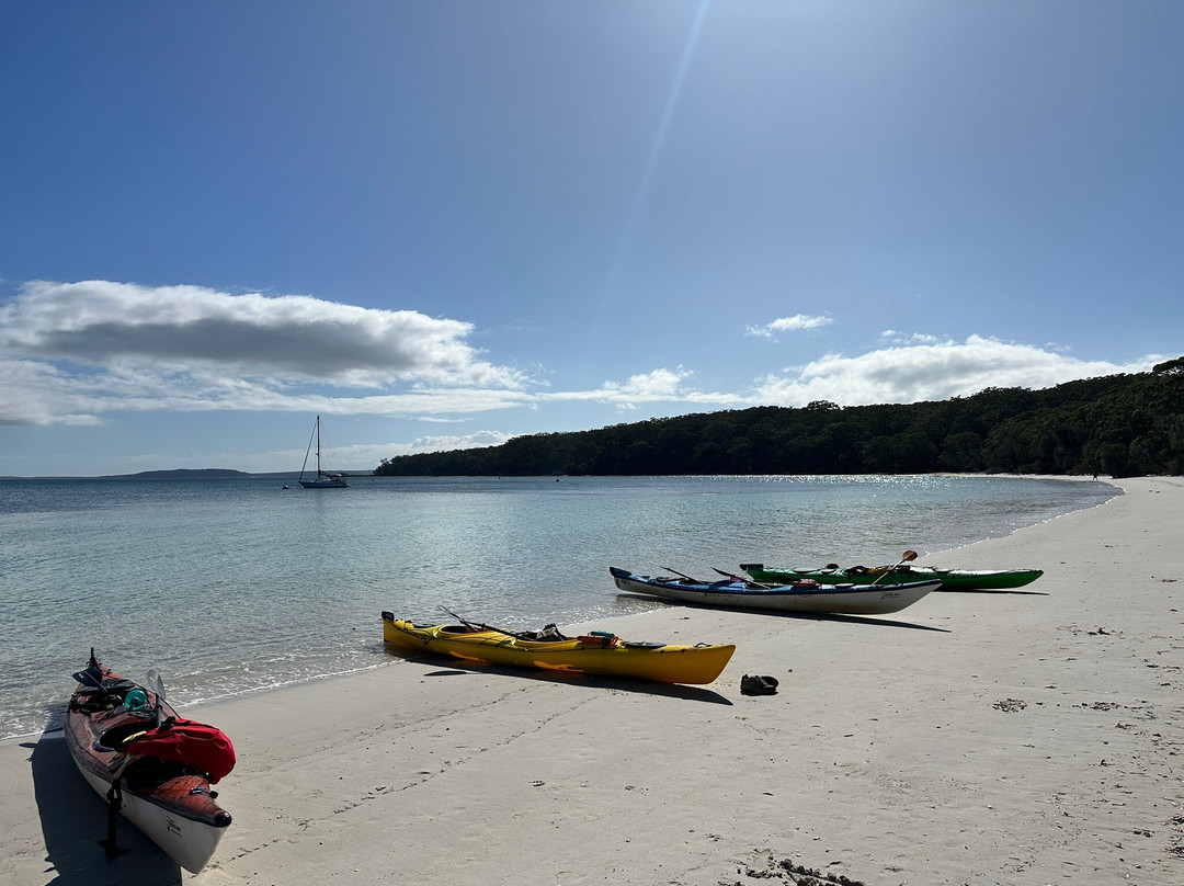 Sea Kayak Jervis Bay景点图片