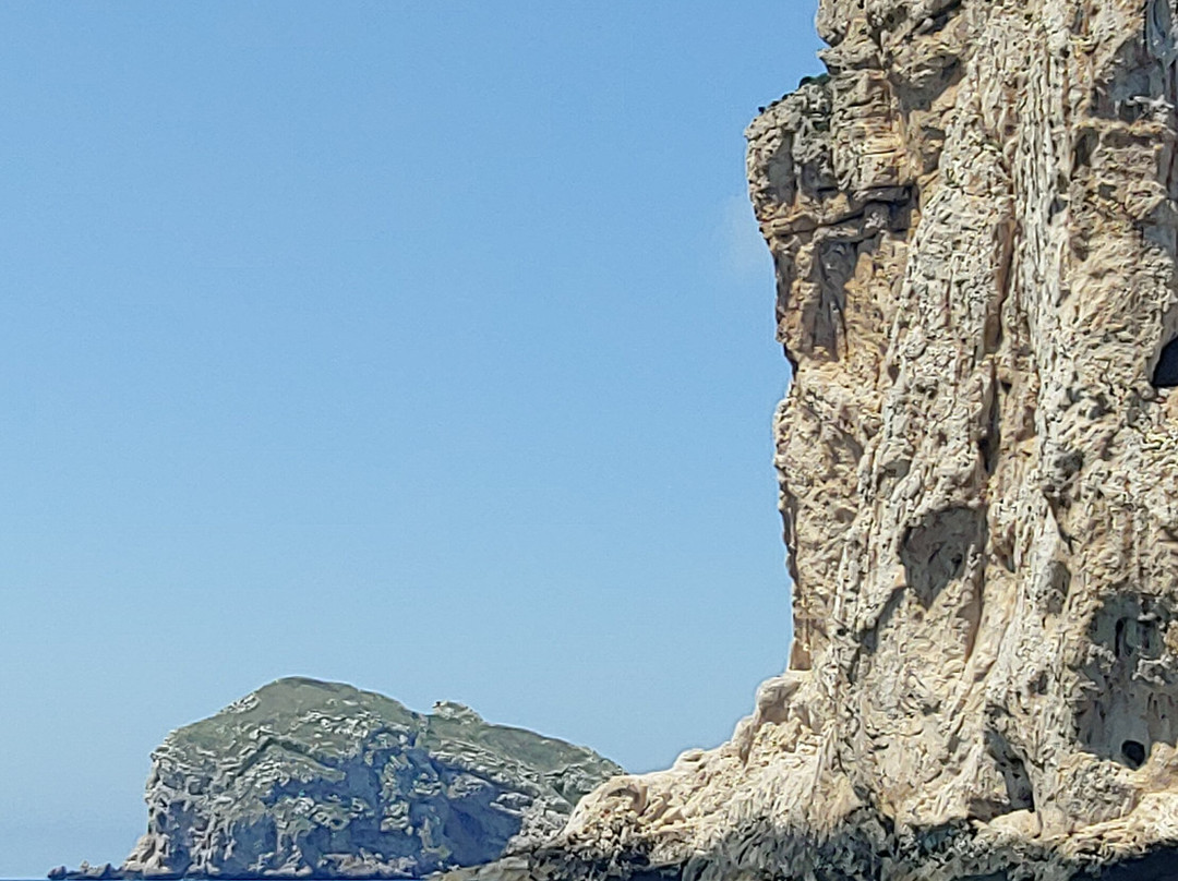 Freccia delle Grotte - Escursioni Grotte di Nettuno-阿尔盖罗必去景点