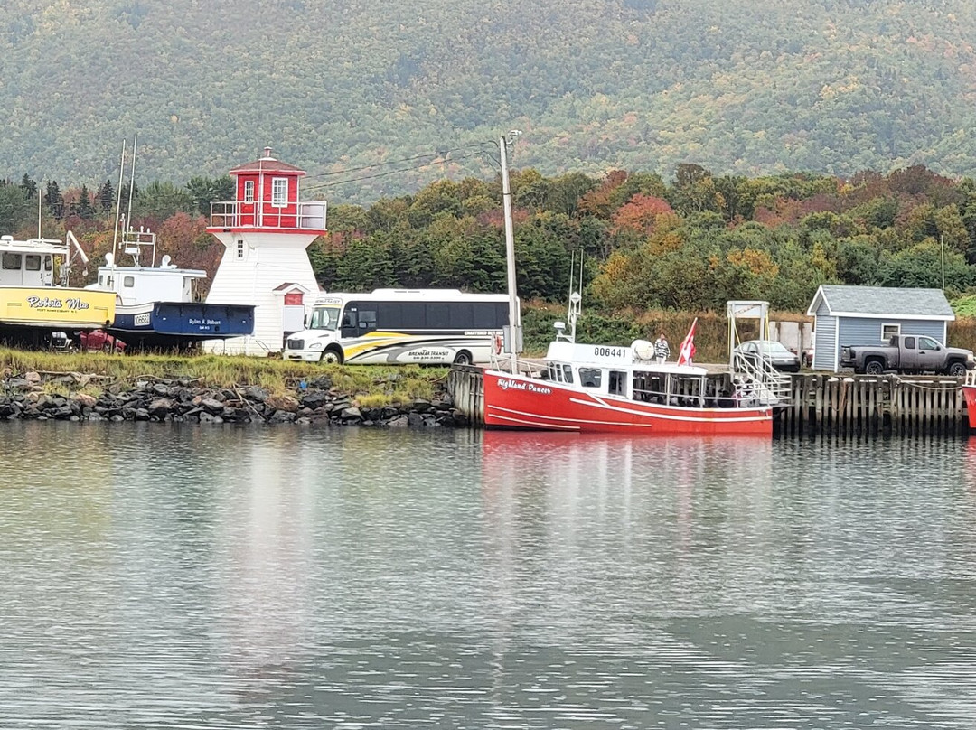 Cabot Trail Guaranteed Whales Adventures景点图片